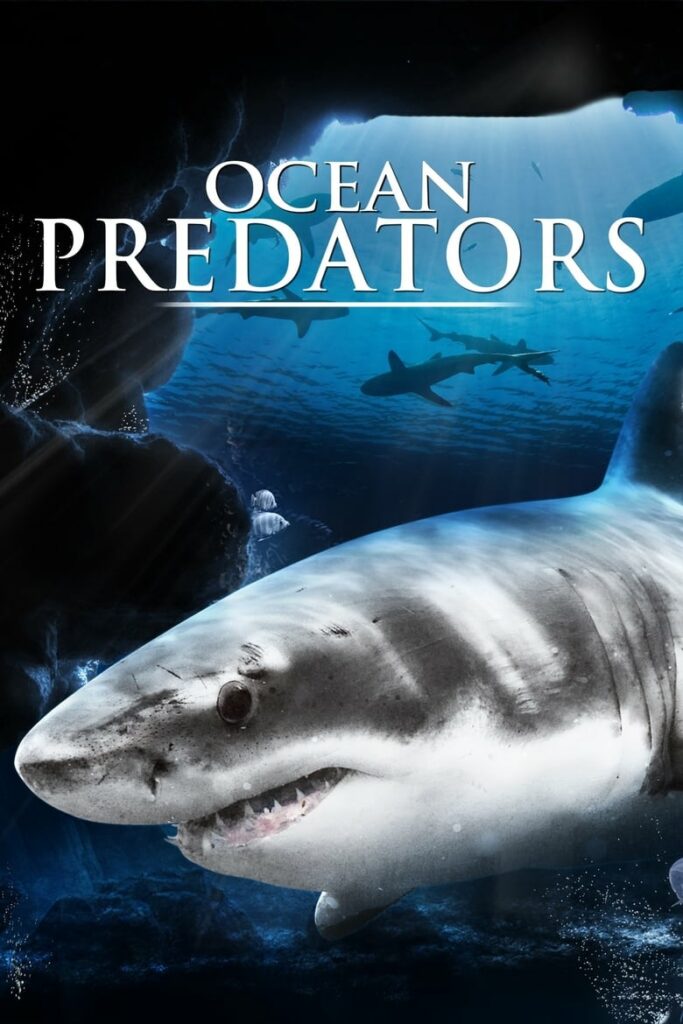 Predadores Perigosos – Os Mais Temidos dos Oceanos